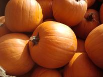 Pumpkin Tips from Healthy Diet Habits