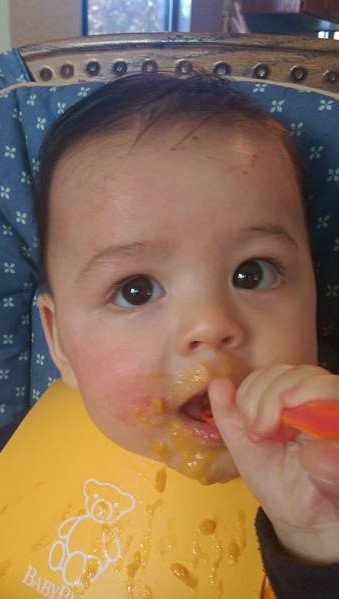 Healthy Homemade Baby Food Tips from Healthy Diet Habits