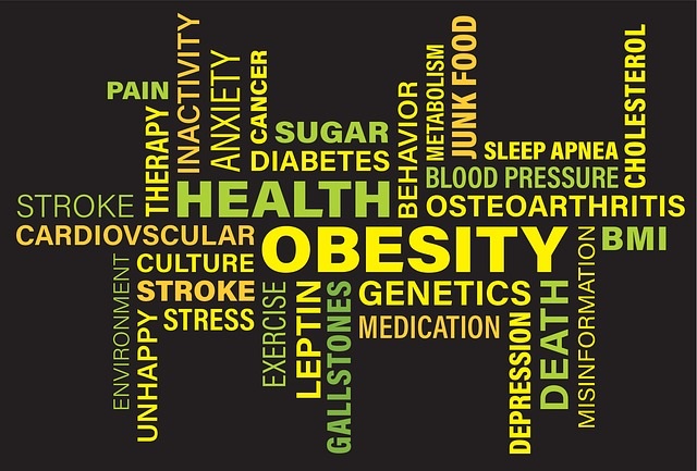 Sobering list of Health Weight Problems that are caused by being overweight or obese.