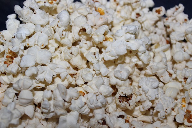 100 Calorie Substitutions:

Salty Choice: Popcorn