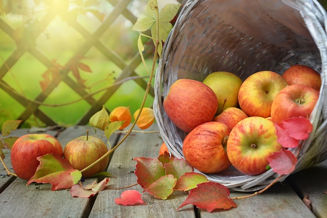 Fall weight loss tips!