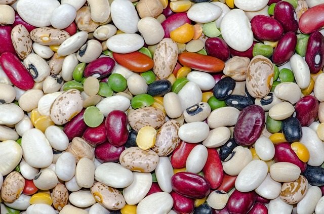 Healthy Benefits of Beans by Healthy Diet Habits