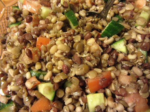Sprouted Bean Salad Recipe