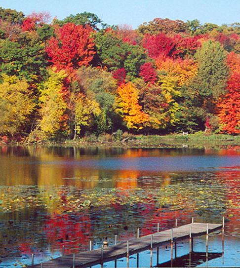 Fall Scenery Fall Scenery