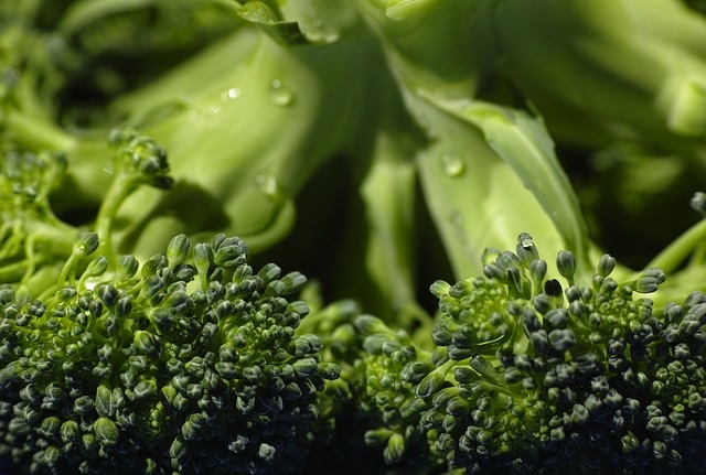Broccoli Info/Tips from Healthy Diet Habits