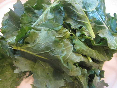 Fresh Kale - Kale Tips from Healthy Diet Habits