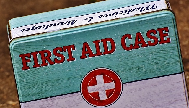 Keep a First Aid Case in your Car Emergency Kit - Emergency Preparedness Tips from Healthy Diet Habits