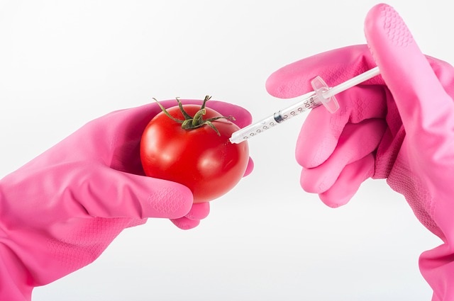 Genetically Modified Foods (GMO) Info. from Healthy Diet Habits