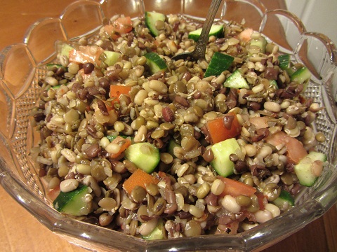 Sprouted Bean Salad Recipe