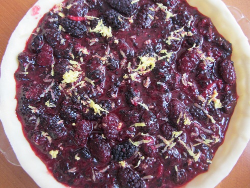 Berry pie in bottom crust