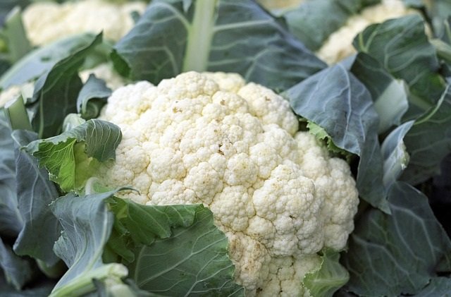 Cauliflower Info/Tips from Healthy Diet Habits