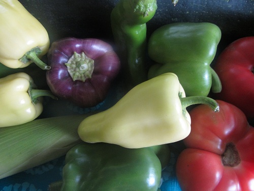 Bell Peppers - Tips from Healthy Diet Habits