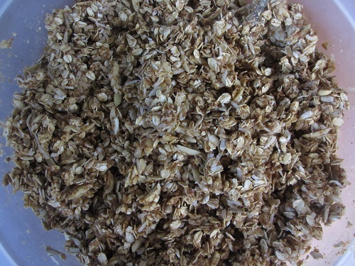 Pumpkin Granola Before Cooking