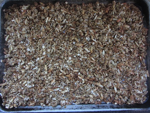 Pumpkin Granola Pan
